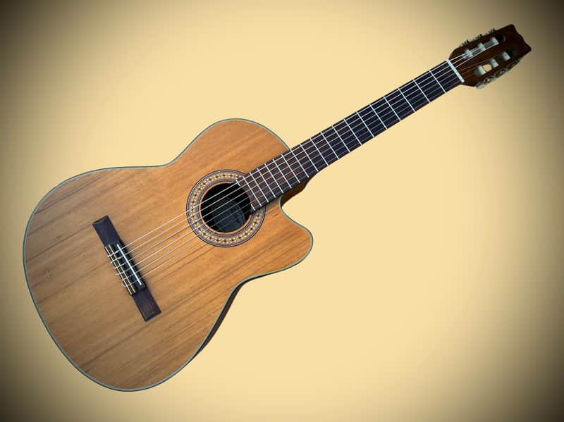 Rare Vintage Handcrafted Vantage VSC-20 CE Nylon Classical Acoustic/Electric Guitar w/Cutaway & Pickup/Preamp image 1
