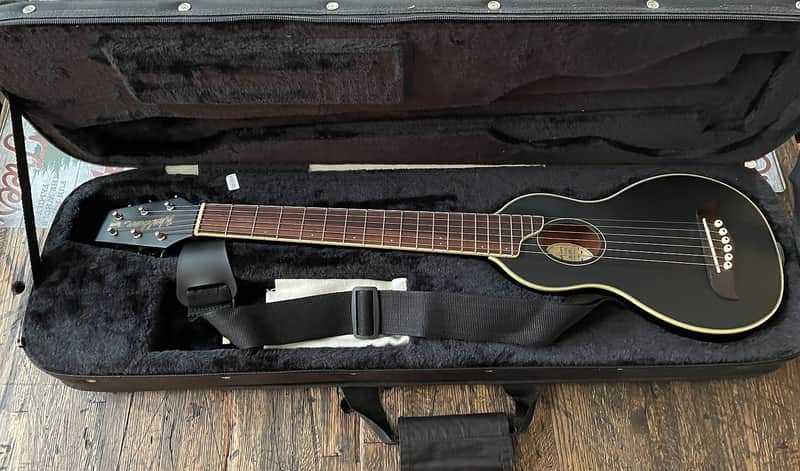 Washburn Rover Acoustic Guitar image 1