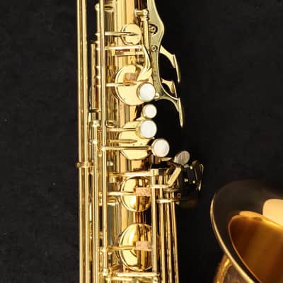 YANAGISAWA Tenor T-WO20 Bronze Tenor Saxophone SN.0036xxxx (All pads replaced) [360441] (06/12) image 11