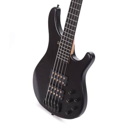 Sandberg Basic Ken Taylor 5-String Matte Black image 2