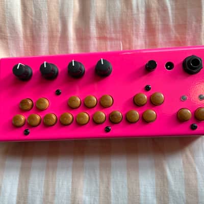 Critter & Guitari Bolsa Bass | Reverb