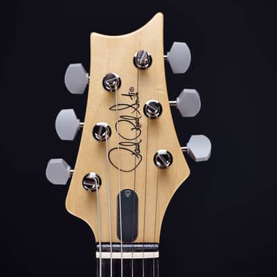 PRS Silver Sky Rosewood Roxy Pink image 6