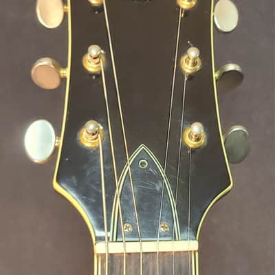 Raven Archtop Electric 1960's or early 70's - Tobacco brown sunburst image 3
