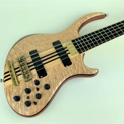 Alembic Rogue 5st. 2008 image 1