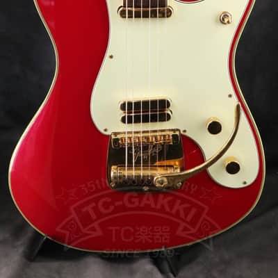 Fender Japan Terry-1 ANNIVERSARY Mod image 1