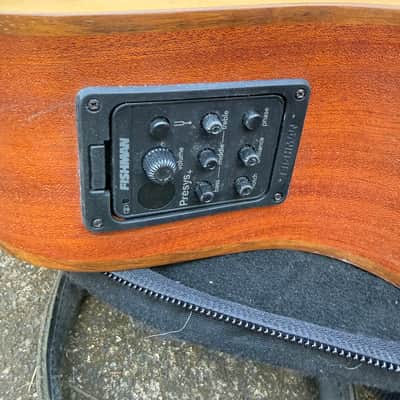 Svoboda Acoustic Electric Bass - Freted or Fretless 2021 - Clear Mat image 3