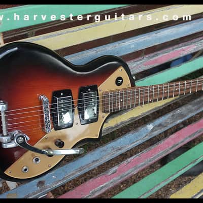 Harvester Lupine 2017 Shortscale image 10