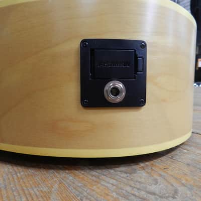 Norman B20 Natural GT Presys II SF image 7