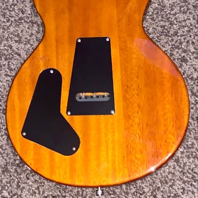 PRS SE Santana Standard Tortoise Shell electric guitar image 9
