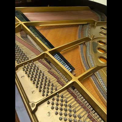 Steinway & Sons Model M Grand Piano – Mahogany – Signed by Fritz Kreisler image 7