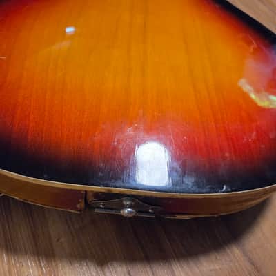 Tele-Star Hollowbody Bass and Amp 1960s Japan image 13