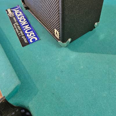 EarCandy Shirley 20W 1x12 Compact With Warehouse Speaker image 3