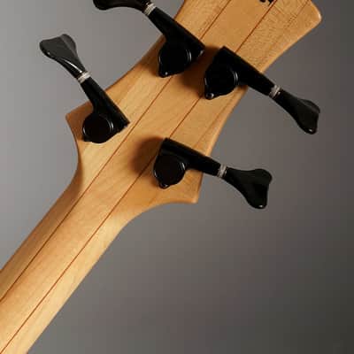Roscoe Century Standard Plus Fretless image 10