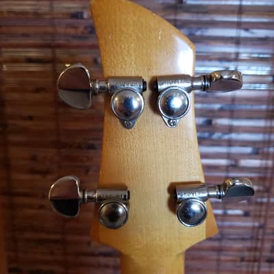 Vintage 70's Dan Armstrong Ampeg Clear Acrylic Bass -ADA6 image 7