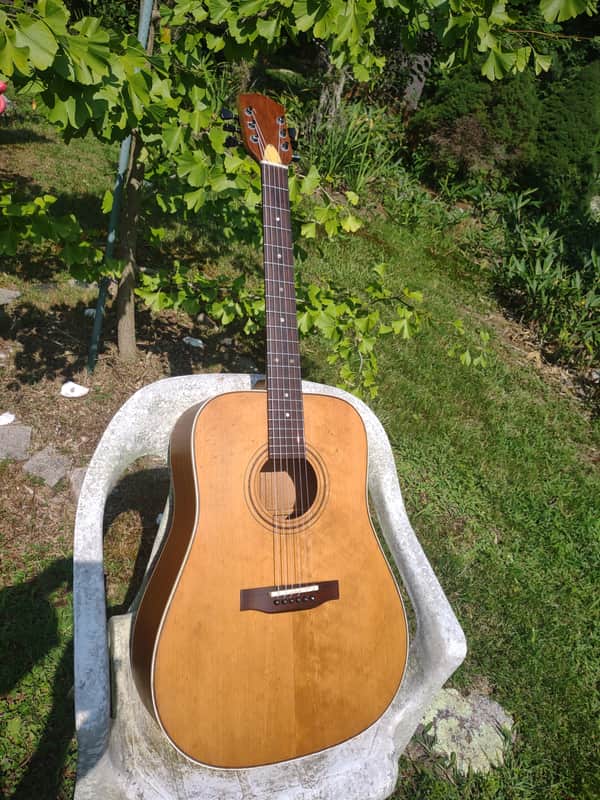 Hofner Dreadnought 1970's-80s - Natural mahogany image 1