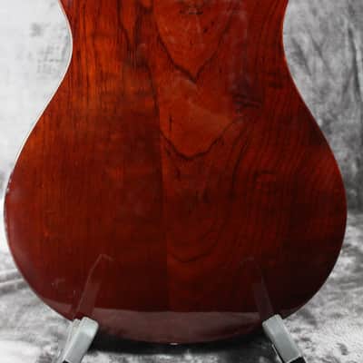 Raven West Guitars RG450 RWG image 4
