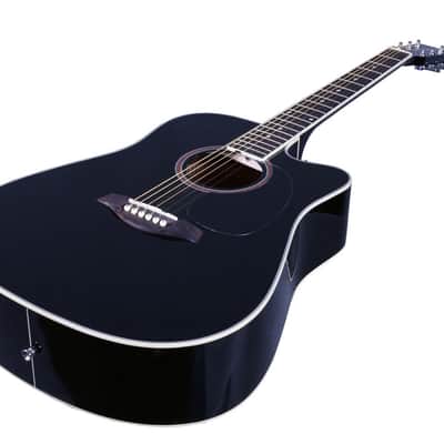 Artist LSPCBK Ultimate Beginner Acoustic Guitar Pack image 4