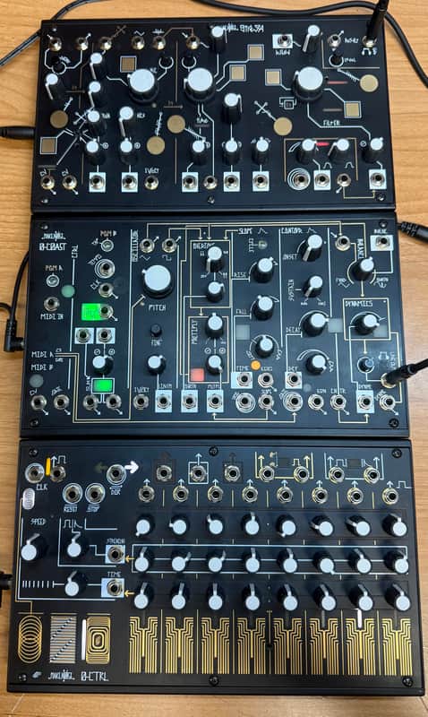 Make Noise Strega, 0Ctrl, and 0Coast units image 1