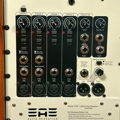 Elite Acoustics D6-58 120-Watt Rechargeable 8” + 5” Acoustic Guitar/Multi-Chan Amplifier w/ Gig Bag image 7