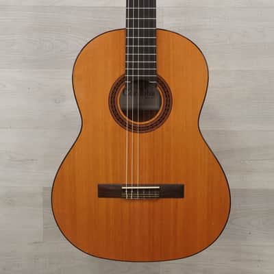 Used Cordoba DOLCE Solid Top Acoustic Guitar Natural image 1