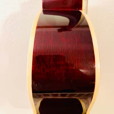 Washburn  F-10S Acoustic Folk Guitar Solid Spruce Top Mahogany Back Sides 2020 Natural/Cherry image 21