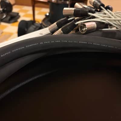 RapcoHorizon TT to XLR Male snake 15’ image 6