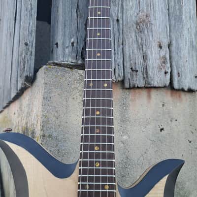 REB3L GUITARS tulip 2024 - matte Bild 5