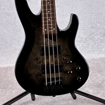 IN-STOCK - 2026 LTD B-204DX DX SERIES 4 STRING BASS \ BLACK BURST image 2