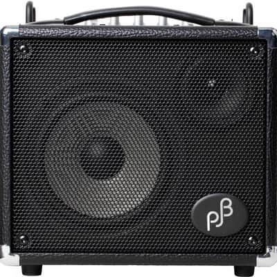 Phil Jones BG-100 Bass Cub 2x5 100w Combo Amp | Reverb