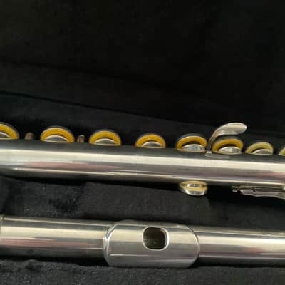 Di Zhao DZ 220 - Closed Hole Flute All New Pads, New Case image 4