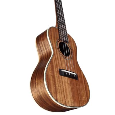 Alvarez RU90CP Regent Concert Ukulele Pack (Semi Gloss) image 5