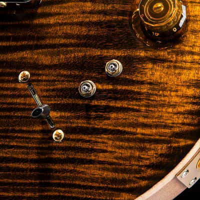 Paul Reed Smith Modern Eagle V Yellow Tiger image 7