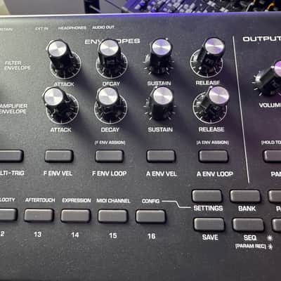 Moog Messenger — MINT image 6