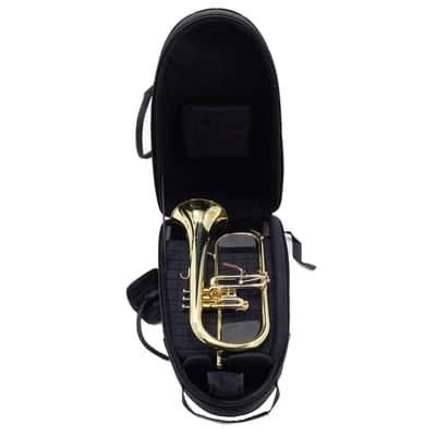 S.E. Shires Model Q19 Q-Series Professional Flugelhorn BRAND NEW image 18