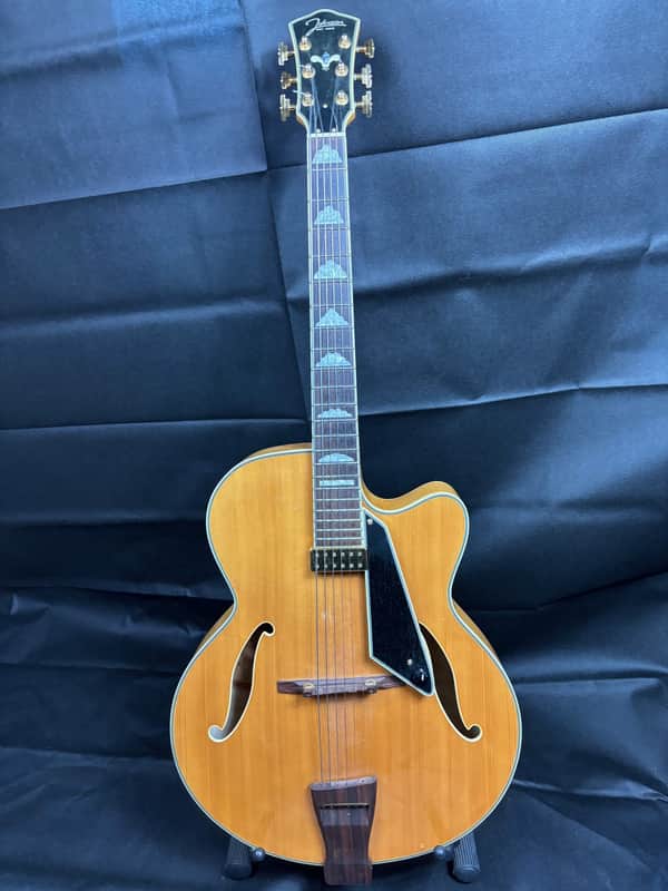 Johnson JAT-12- NA  ARCHTOP 1996 - Mint image 1
