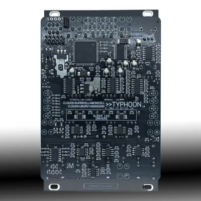 Typhoon (16HP Mutable Instruments Clouds) Eurorack Module, Black Panel image 4