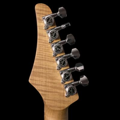 Cream T Custom Shop Polaris HSS (Terra Burst) image 6