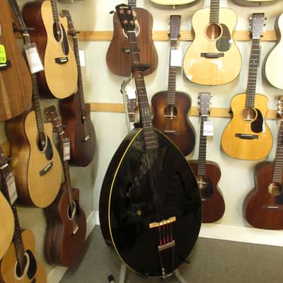 Gibson Kalamazoo KJ Mandobass c.1930's image 2