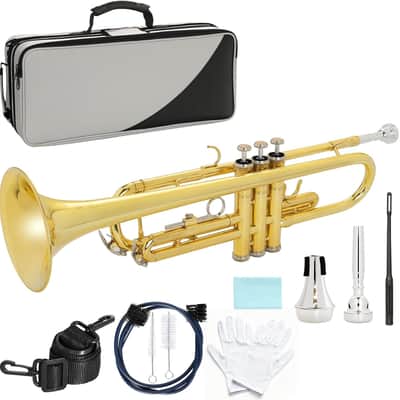 管楽器・吹奏楽器 GR Wayne Bergeron Studio GP G.R. Wayne Bergeron Studio GP Trumpet Mouthpiece [Used] | Reverb