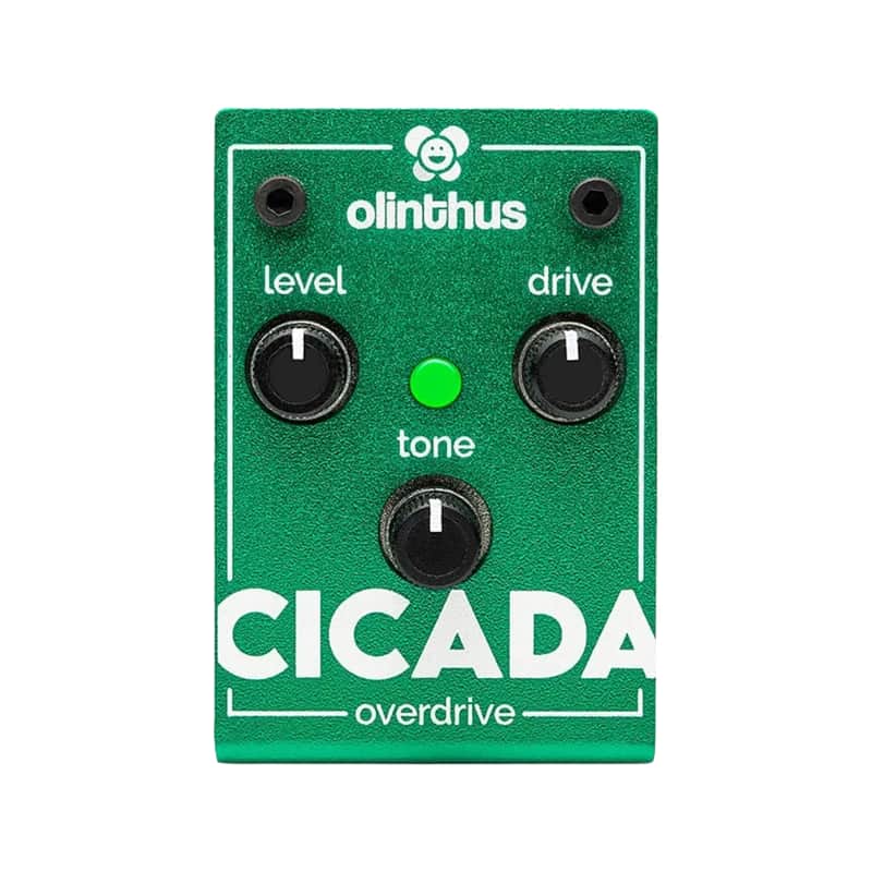 Olinthus Cicada Overdrive | Reverb