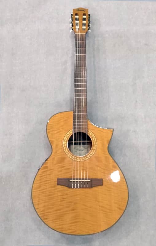 Ibanez EWN30 Natural Nylon image 1