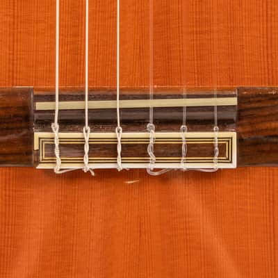 Daion DC-300 Classical Guitar image 4