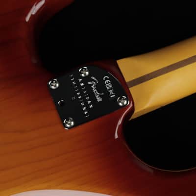 Fender American Professional II Stratocaster - MN SSB (#902) image 17