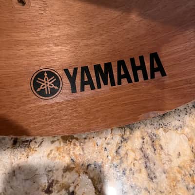 Yamaha's Concert image 2