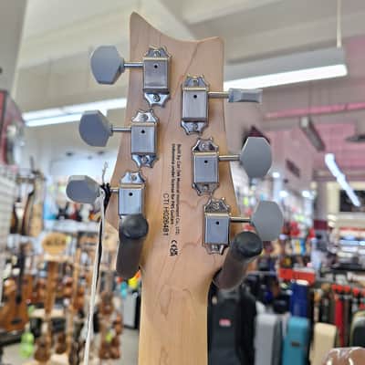 PRS SE Silver Sky 2025 - Present - Derby Red 7.0 pounds image 7