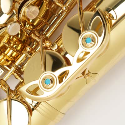【Special price】 Yanagisawa A-WO1 [AW01] Professional Alto Saxophone image 10