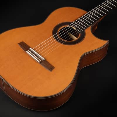 2018 Hanika Fusion PC - Natural | Made in Germany Professional Line Masterbuilt Classical Guitar Cedar Rosewood 50mm Nut Cutaway | CoA OHSC image 6
