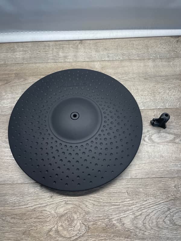 Alesis Strike 14" Dual-Zone Electronic Cymbal Pad w/ Anti Spin Rotation image 1