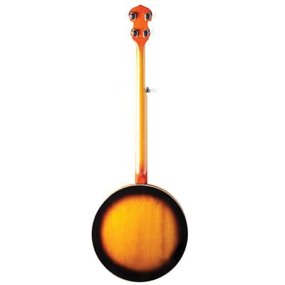Washburn B10 5-String Banjo image 4