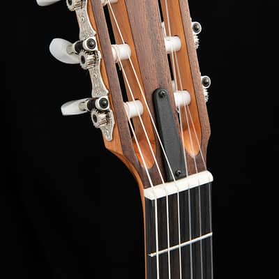 Taylor Academy 12e-N Nylon image 6